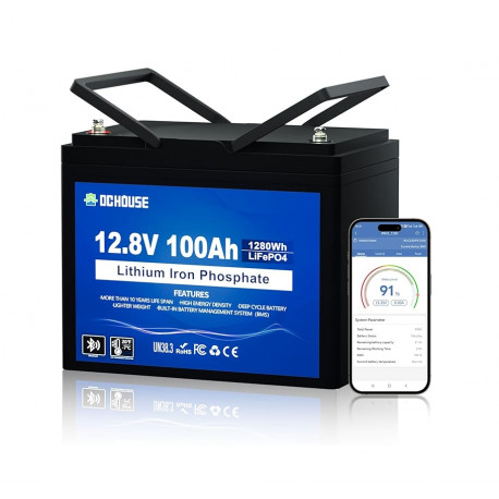 LiFePo4 baterie 12V 100Ah s bluetooth DC HOUSE CLASIC