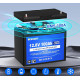 LiFePo4 baterie 12V 100Ah s bluetooth DC HOUSE CLASIC