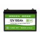 LiFePo4 baterie 12V 100Ah GREEN BOSS LIGHT