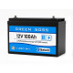 LiFePO4 baterie 12V 100Ah s bluetooth GREEN BOSS BLUE