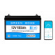 LiFePO4 baterie 12V 100Ah s bluetooth GREEN BOSS BLUE