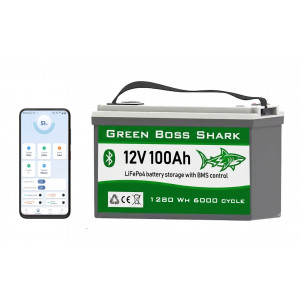 LiFePo4 baterie pro rybáře Green Boss SHARK 12V 100Ah LCD, bluetooth