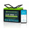 LiFePo4 baterie Green Boss MINI 12V 100Ah LCD, USB, bluetooth , DC